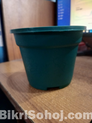 রাউন্ড প্লান্টার ৬